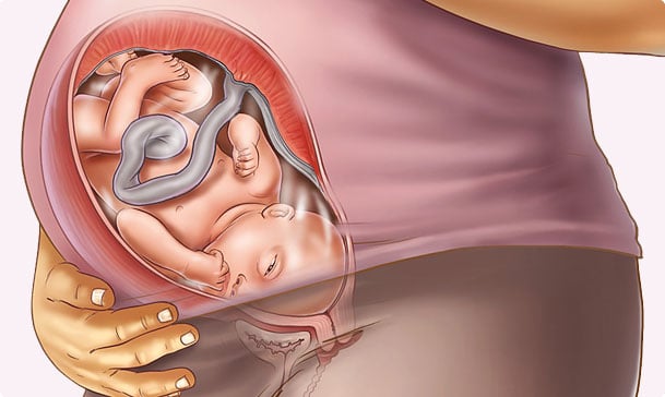 39 semanas de embarazo – Noveno mes