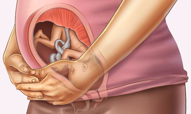 27 semanas de embarazo – Sexto mes