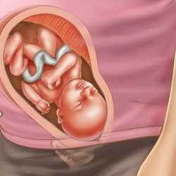 28 semanas de embarazo – Séptimo mes