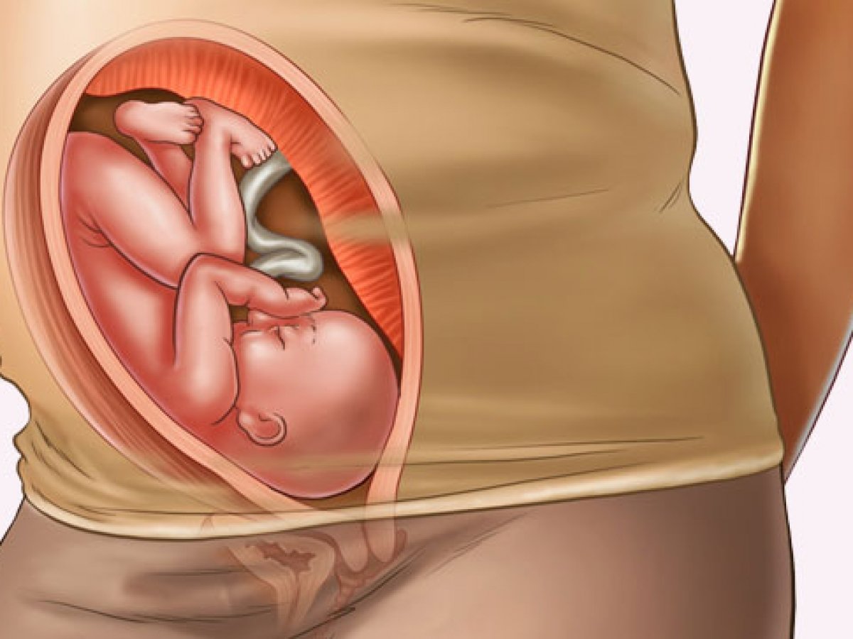posiciones del bebe en el vientre a los 8 meses