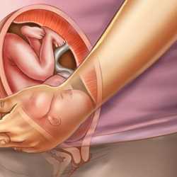 31 semanas de embarazo – Séptimo mes