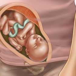 33 semanas de embarazo – Octavo mes