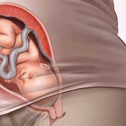 34 semanas de embarazo – Octavo mes