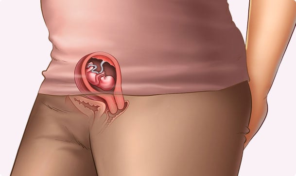 10 semanas de embarazo – Tercer mes