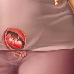 11 semanas de embarazo – Tercer mes