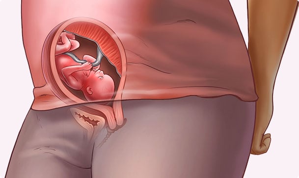 19 semanas de embarazo – Quinto mes