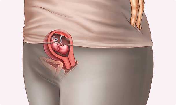 9 semanas de embarazo – Segundo mes