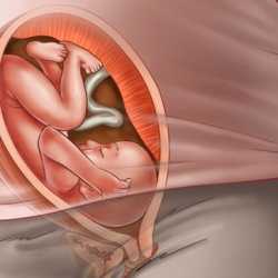 29 semanas de embarazo – Séptimo mes