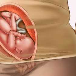 30 semanas de embarazo – Séptimo mes