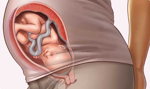 34 semanas de embarazo – Octavo mes