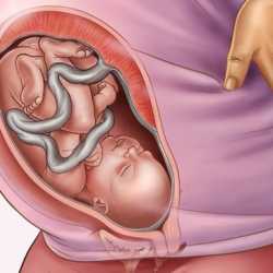 35 semanas de embarazo – Octavo mes
