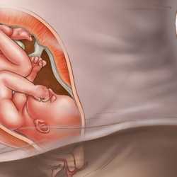 37 semanas de embarazo – Noveno mes