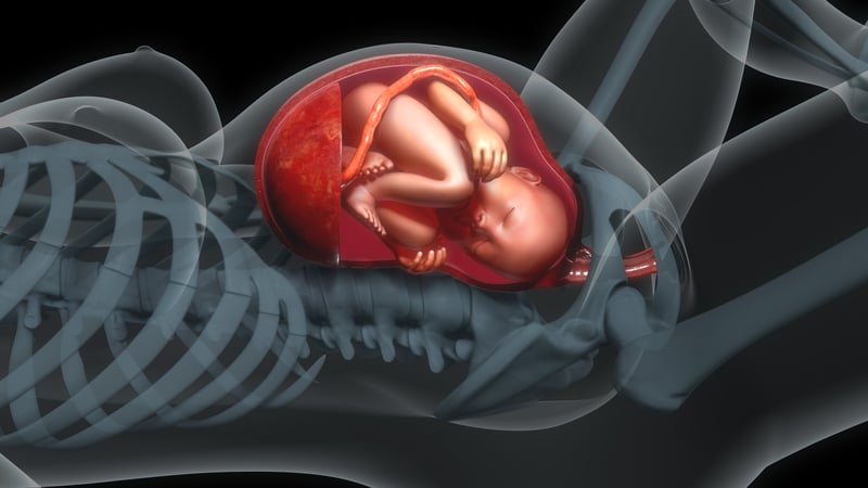 El estrés del bebé en el útero materno
