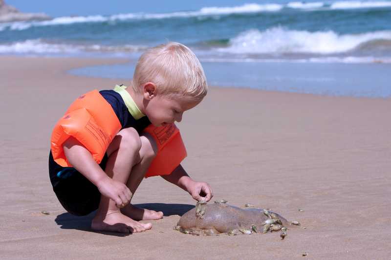 Picaduras de medusas en niños durante las vacaciones