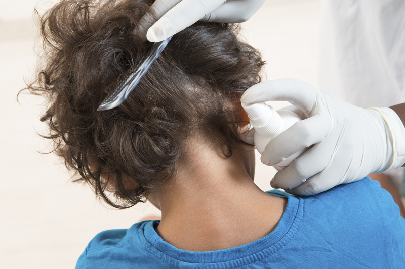 Mitos y verdades sobre los piojos de los niños