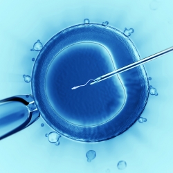 Fecundación in vitro e inseminación artificial: la infertilidad de la pareja