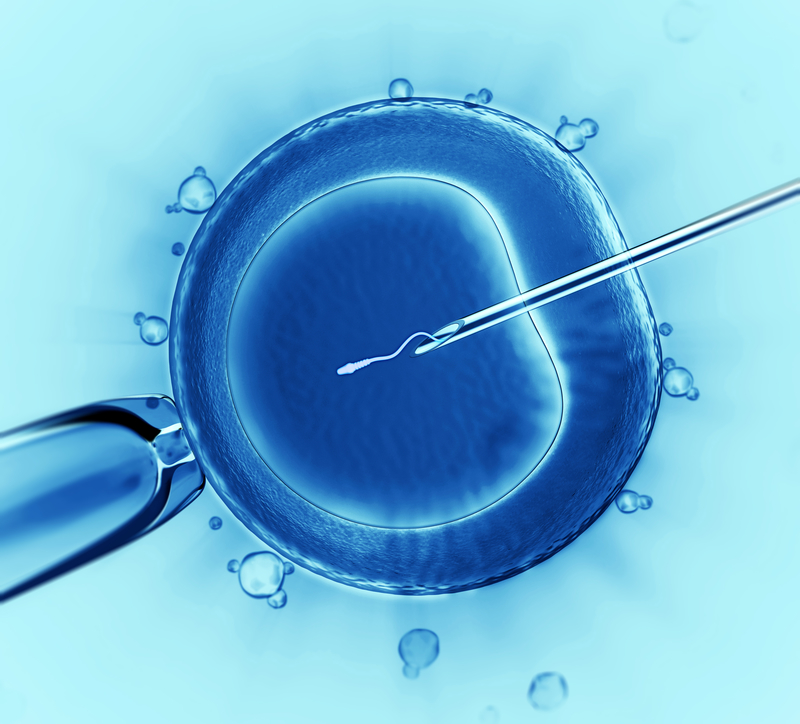 Fecundación in vitro e inseminación artificial: la infertilidad de la pareja