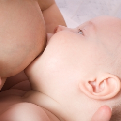 Lactancia materna: la posición del bebé