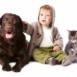 Perros y gatos viviendo con niños y bebés