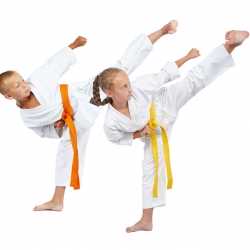 El taekwondo en la infancia