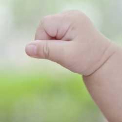 Cómo prevenir las picaduras de insectos en los bebés