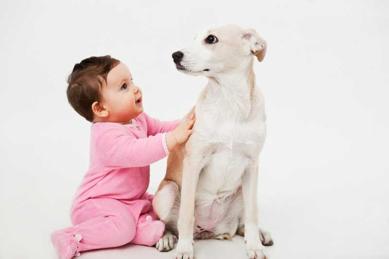 La relación de los niños con las mascotas