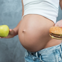 Alimentos prohibidos en el embarazo