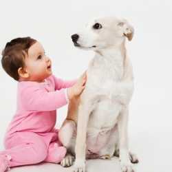 La relación de los niños con las mascotas