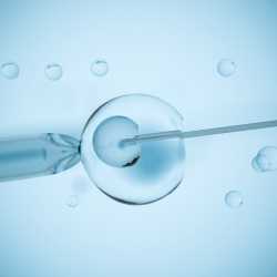 ¿Qué tratamientos de fertilidad existen?