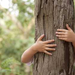 Los niños deben cuidar el medio ambiente