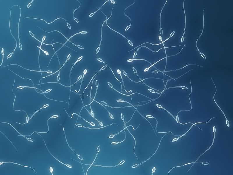 Hábitos saludables que benefician la producción de esperma