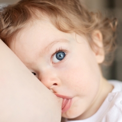 ¿Hasta cuándo alimentar al bebé con leche materna?