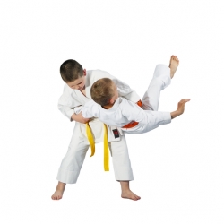 El Judo y los niños