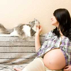 Riesgos de la toxoplasmosis durante el embarazo