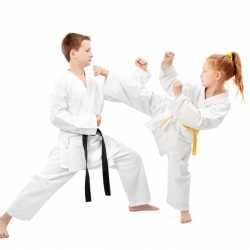 Beneficios del karate infantil