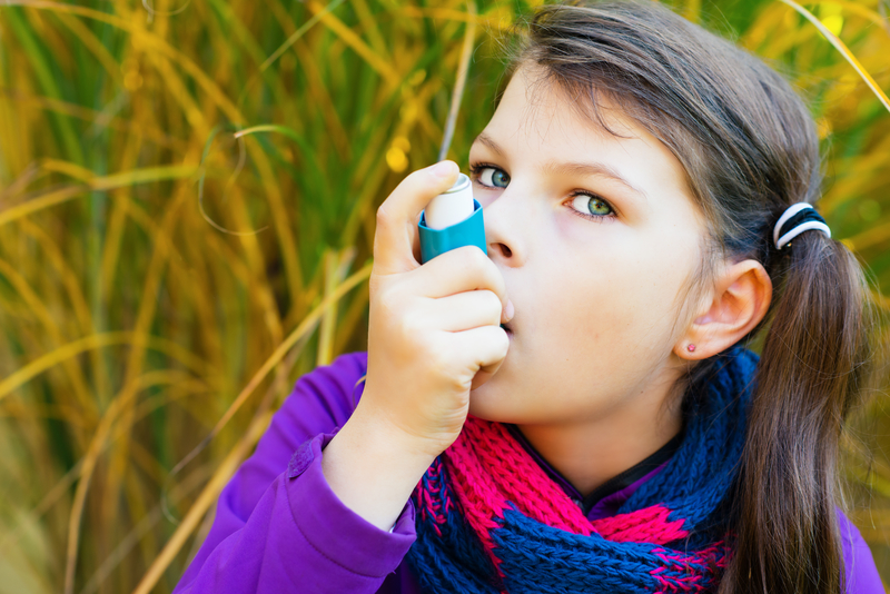Qué alérgenos pueden causar asma infantil