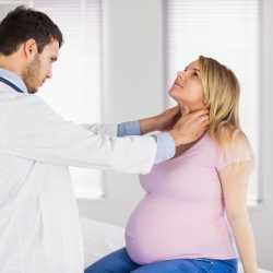 El embarazo y la glándula tiroides