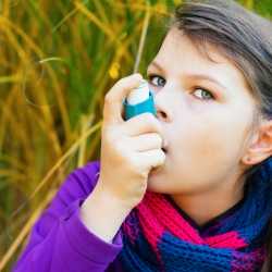 Qué alérgenos pueden causar asma infantil