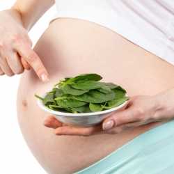 El hierro y la anemia en el embarazo