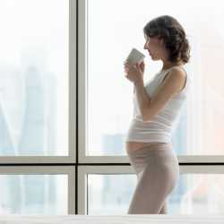 Hierbas peligrosas en el embarazo