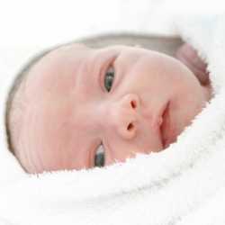 Estrés en bebés prematuros