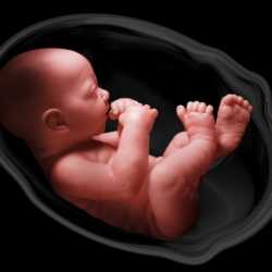 Las causas y las reacciones del bebe ante el sufrimiento fetal
