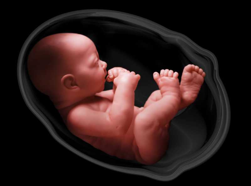 Las causas y las reacciones del bebé ante el sufrimiento fetal